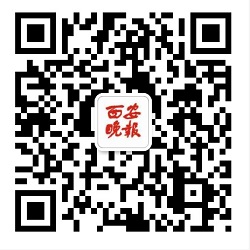 17795715091西安晚报250.jpg